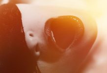 What about the female orgasm? Why two out of three women have faked it?